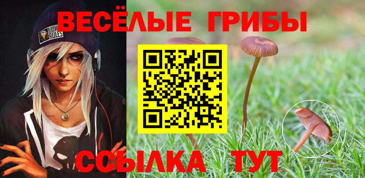 Шахты  Галлюциногенные грибы GOLDEN TEACHER  Вход с VPN  Галлюциногенные грибы Psilocybe 