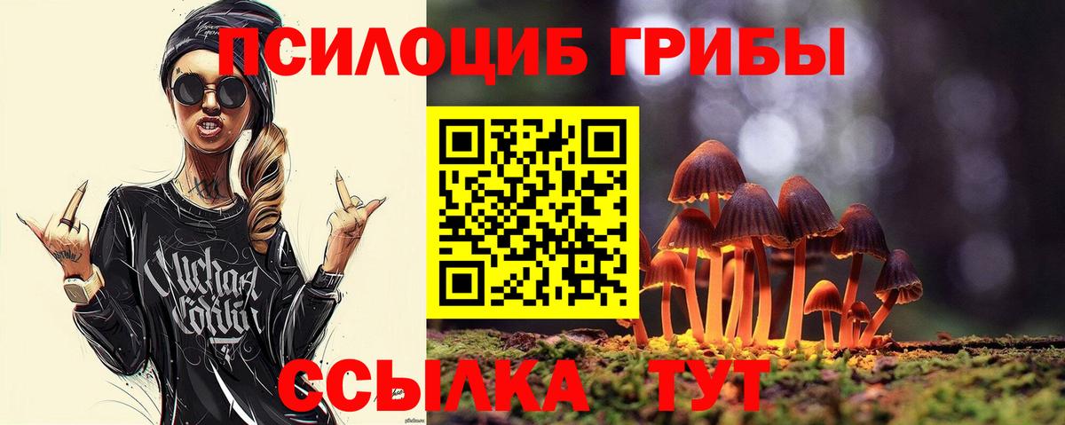 Псилоцибиновые грибы мицелий Шахты